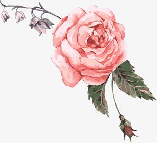 唯美红色花朵免抠