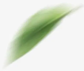 模糊植物绿色飞舞花瓣免抠