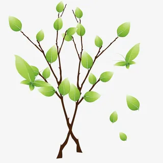 春意盎然的绿色春芽免抠