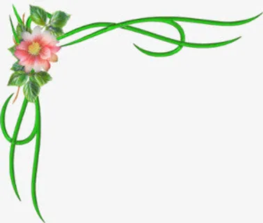 绿叶花朵边框免抠