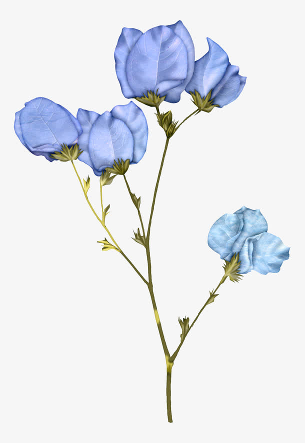 蓝色花瓣素材免抠