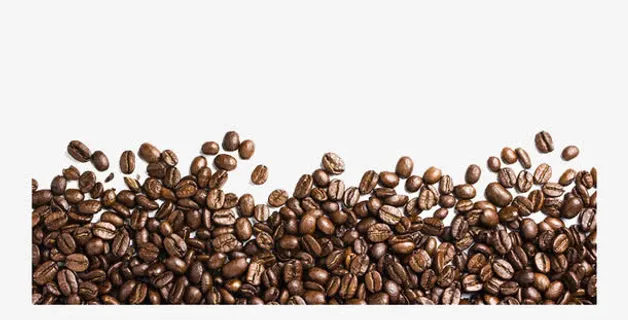 棕色的咖啡豆免抠素材免抠