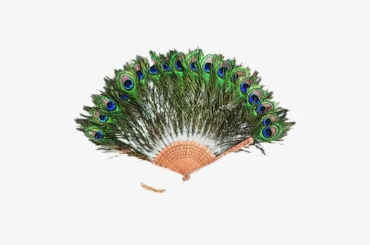 孔雀毛扇子免抠