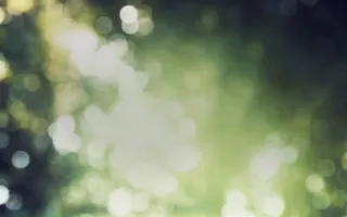 绿色清新树林光效免抠