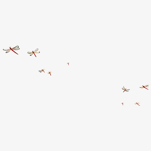 飞舞的蜻蜓免抠