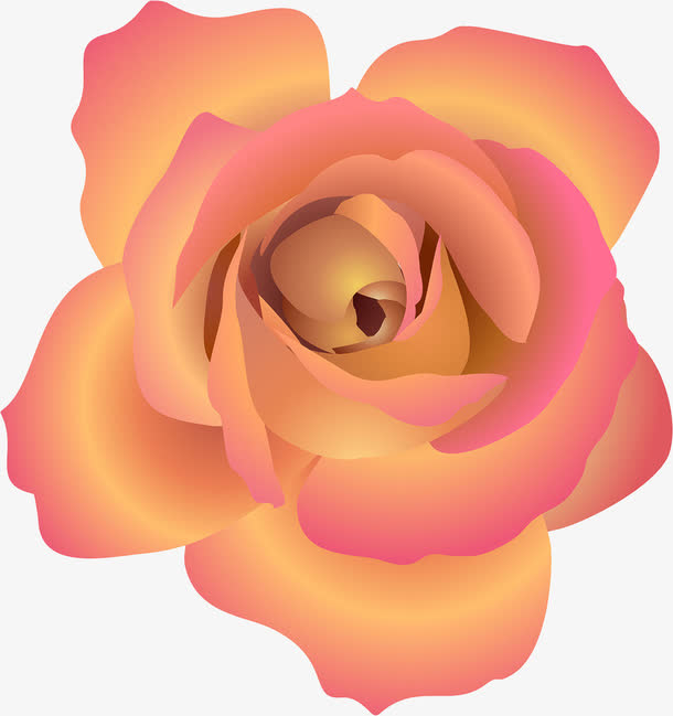 手绘玫瑰花插画免抠