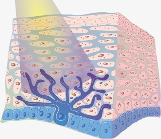 防紫外线图免抠