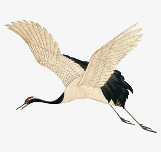 中国风 仙鹤 抠图 水墨免抠