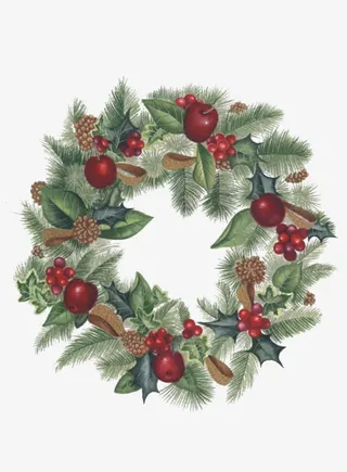 卡通手绘圣诞花圈小苹果树叶免抠