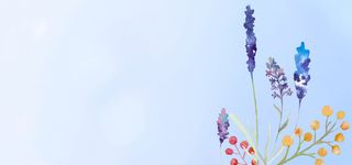 渐变手绘花朵高清