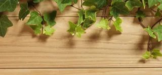 绿色木板背景banner高清