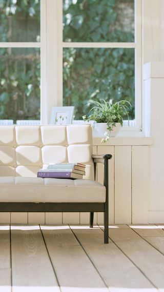 绿植窗台H5背景素材高清