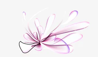 抽象炫酷花瓣梦幻免抠