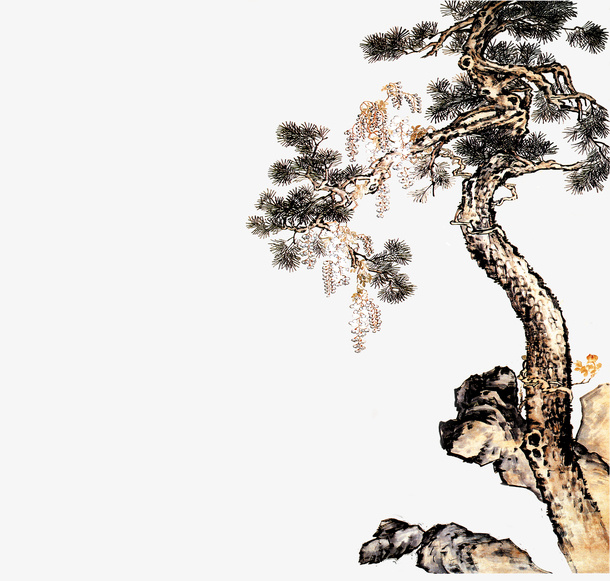 松树免抠