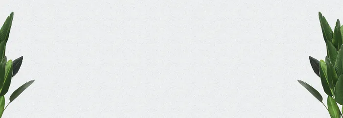 简约清新全屏海报banner高清