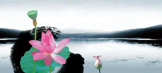 中国风荷花背景