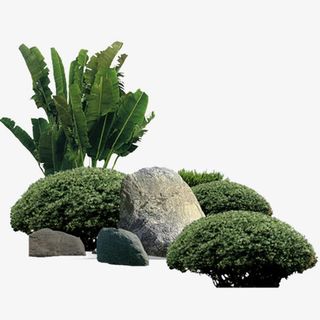 园林石头园林绿化免抠