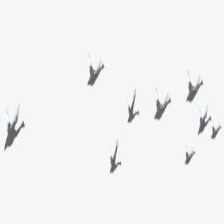 灰色大雁南飞商业矢量图免抠