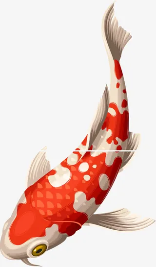 海洋生物锦鲤矢量图免抠
