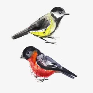 矢量手绘小鸟免抠