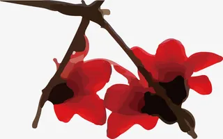 仰视拍摄对称的木棉花免抠