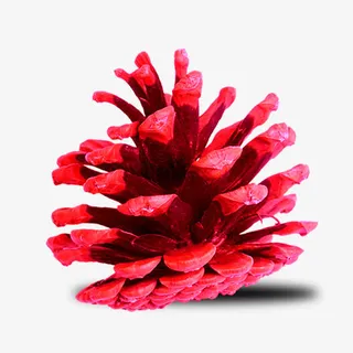 血红松果圣诞节素材免抠