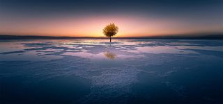 大地回春唯美背景图片高清