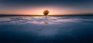 大地回春唯美背景图片高清