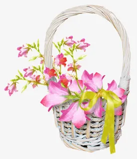 花篮免抠