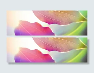 淘宝秋季秋装树叶唯美背景banner