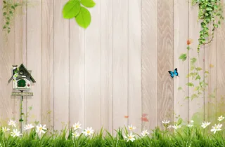 欧式  典雅  尊贵 实木 纹理 木地板高清