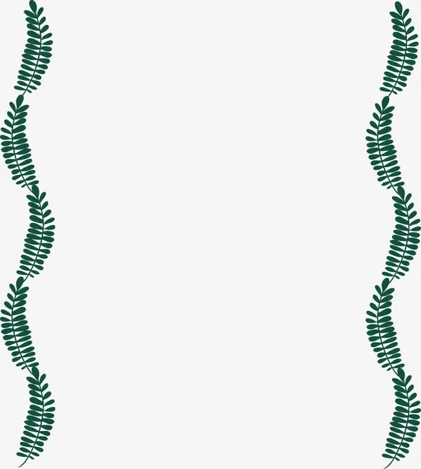 螺旋针叶树枝边框免抠