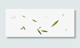 疾风飞舞的竹叶免抠