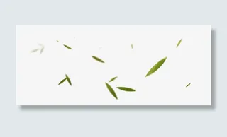 疾风飞舞的竹叶免抠