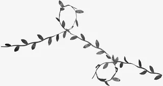 灰色枝条枝叶免抠