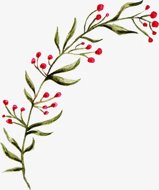 含苞待放花草素材免抠