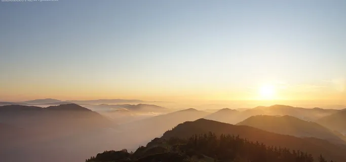 森林东方的美丽日出图片高清