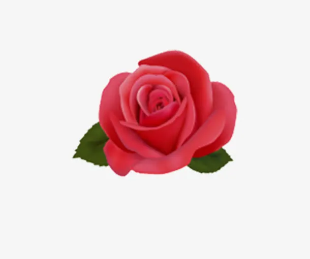 鲜花免抠
