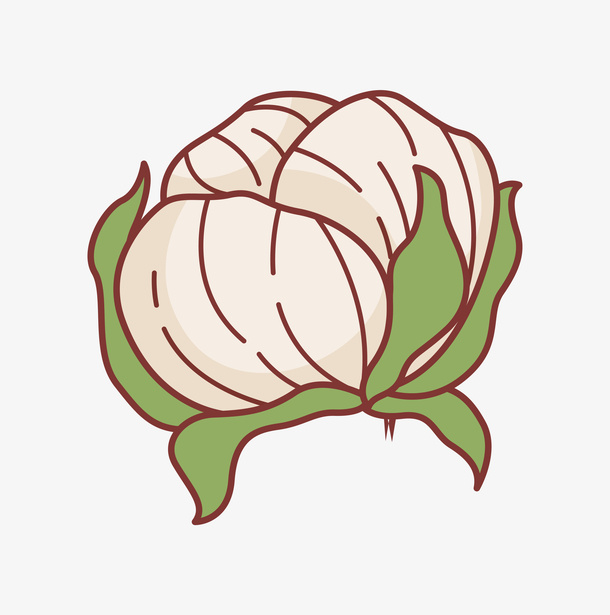 手绘卡通装饰花瓣花草装饰海报设免抠