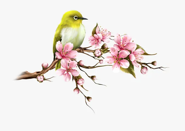 精美手绘中国风花鸟插画素材免抠