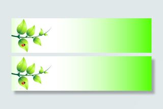 精美时尚banner背景