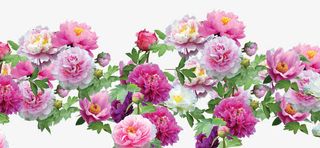 花卉装饰效果免抠