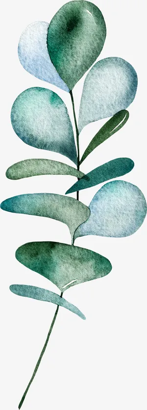 绿色 水彩 叶子 圆叶免抠