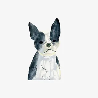 手绘可爱水墨狗免抠