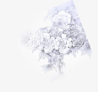 中国风水墨手绘花束免抠