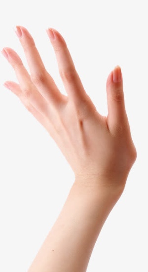手免抠