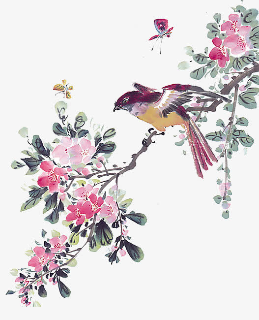 喜鹊免抠