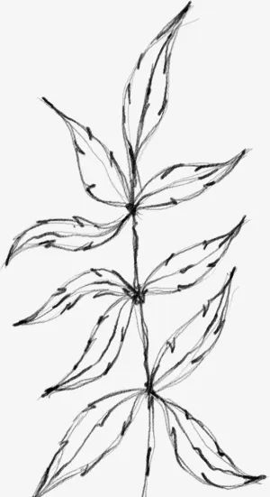 水墨花朵元素27免抠