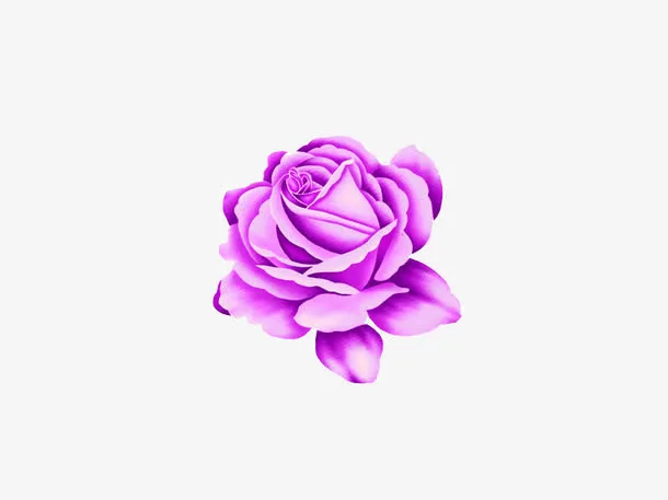 手绘紫色鲜花免抠