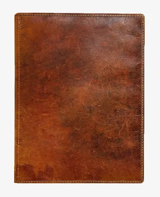 现代牛皮书免抠